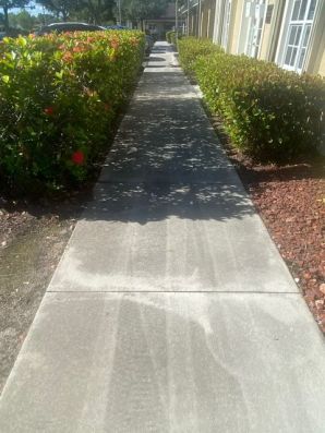 Before & After Commercial Pressure Washing in Pompano Beach, FL (5)