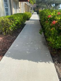 Before & After Commercial Pressure Washing in Pompano Beach, FL (9)