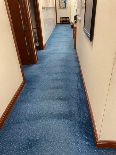 Commercial Carpet Cleaning in Boca Raton, FL (1)